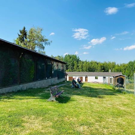 Garni Hotel Pyramida Cheb Buitenkant foto